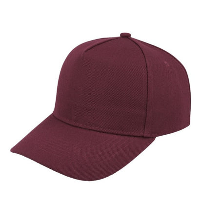 5 Panel Budget Cap