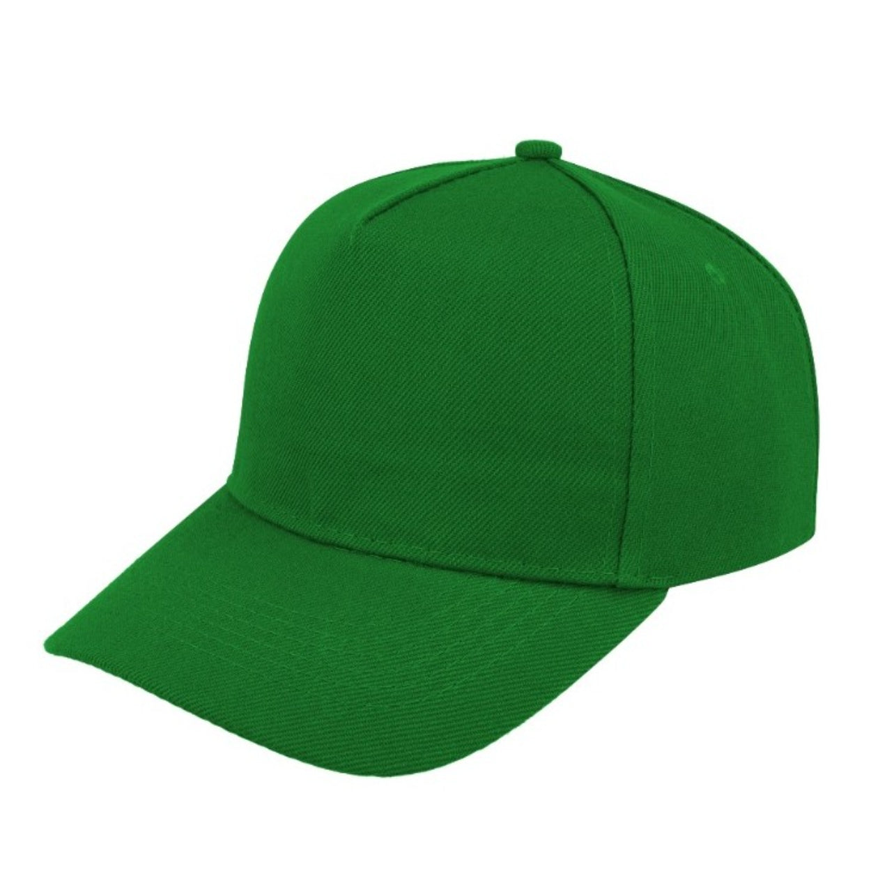 5 Panel Budget Cap