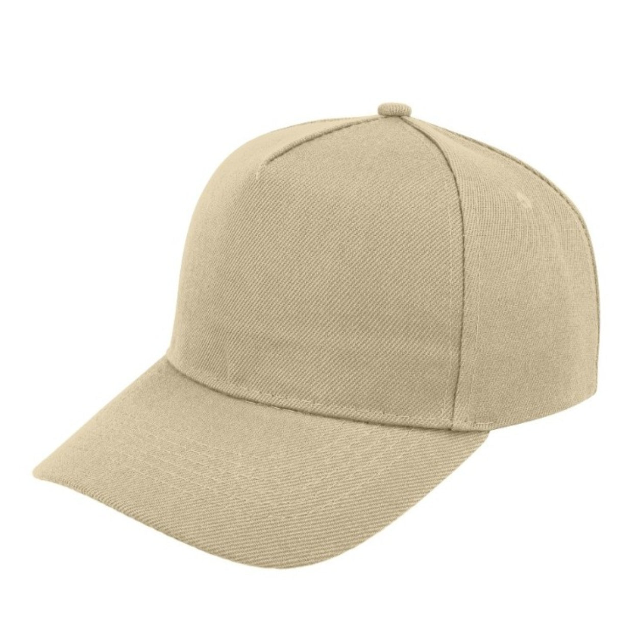 5 Panel Budget Cap
