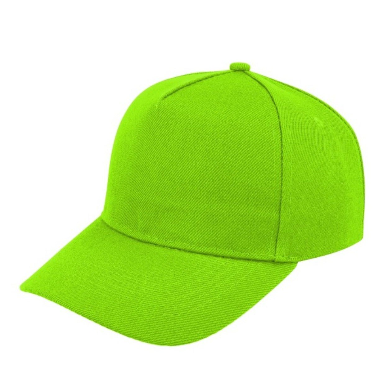 5 Panel Budget Cap