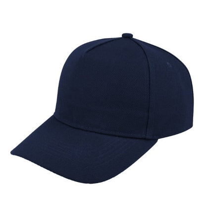 5 Panel Budget Cap