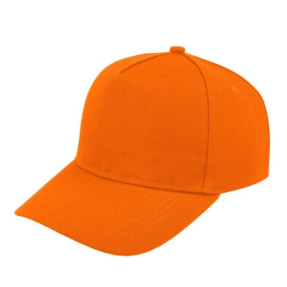 5 Panel Budget Cap