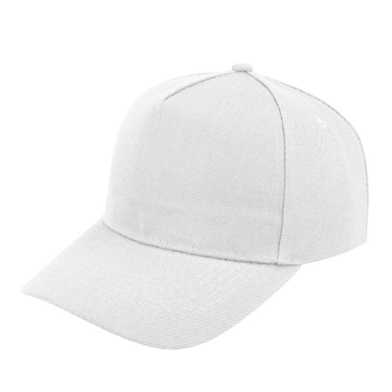 5 Panel Budget Cap