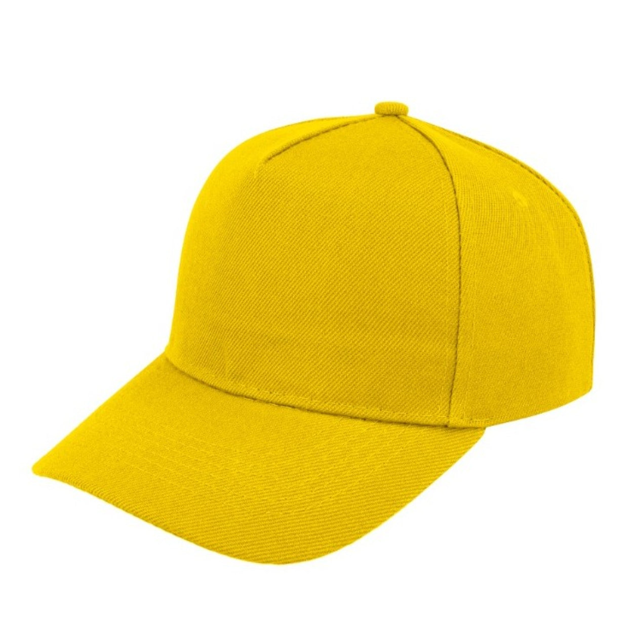 5 Panel Budget Cap
