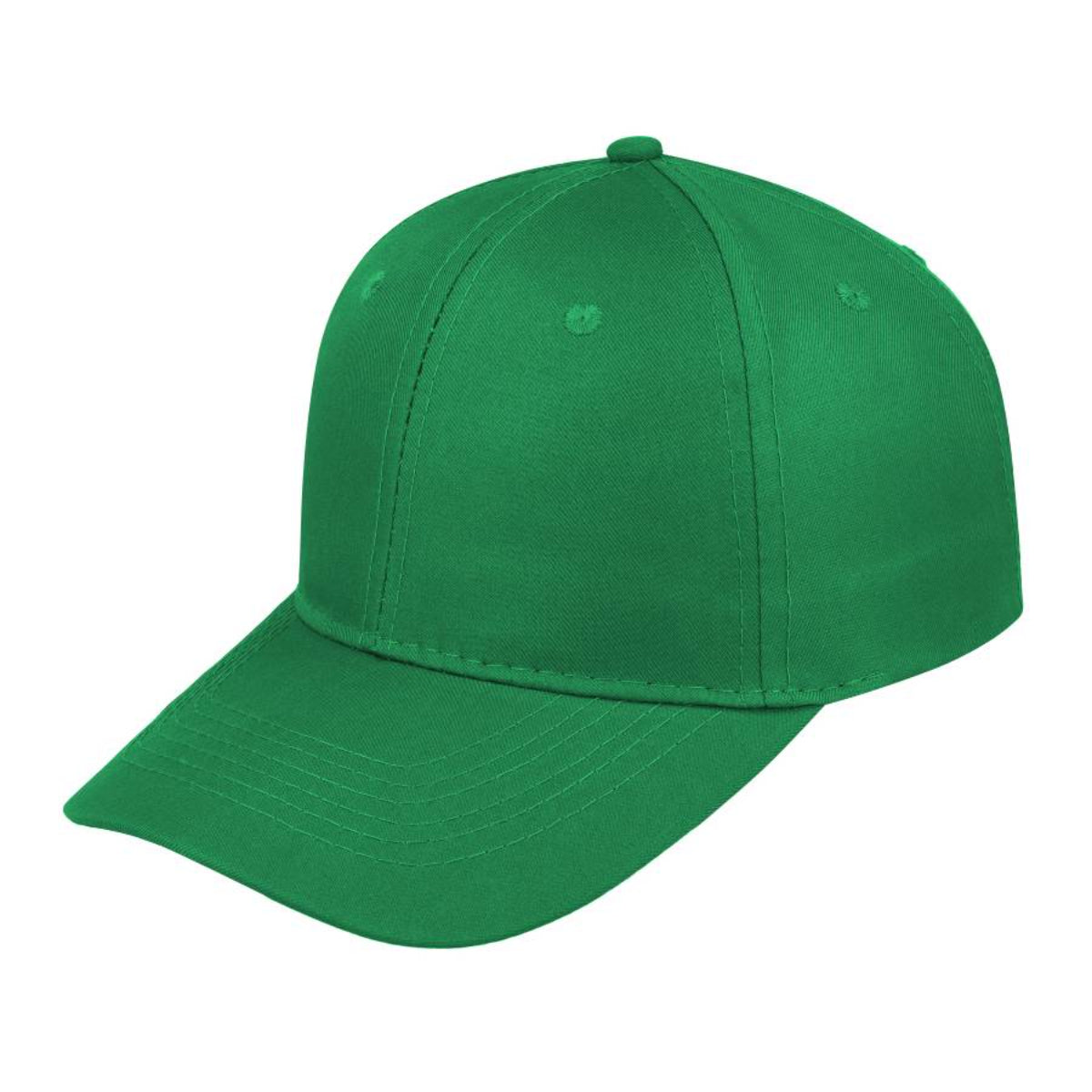 Budget 6 Panel Cap