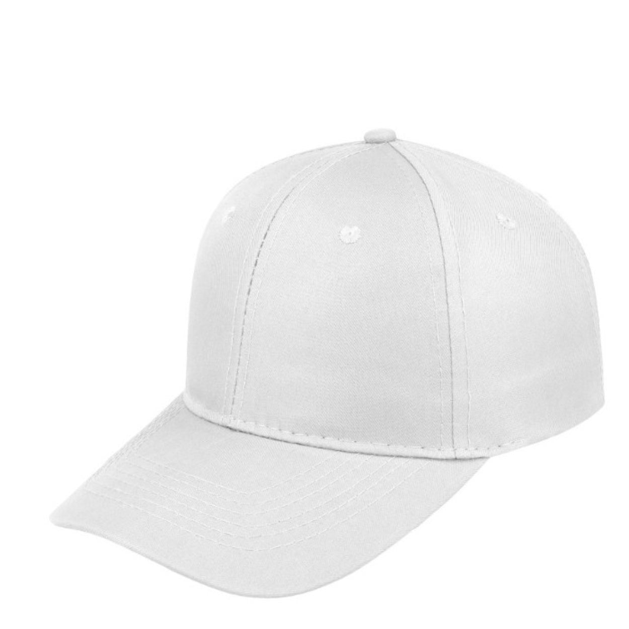 Budget 6 Panel Cap