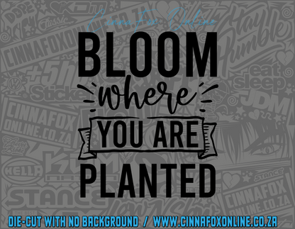 Bloom Where You Are Planted 02 Decal
