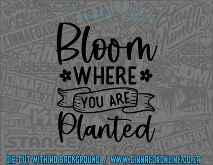 Bloom Where You Are Planted Decal