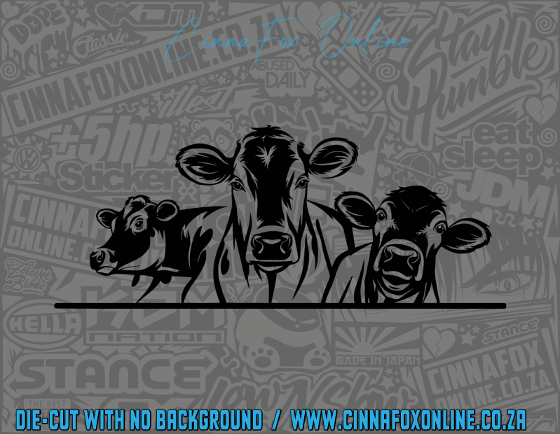 Cows Decal