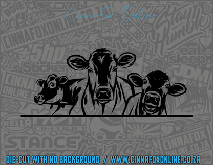Cows Decal