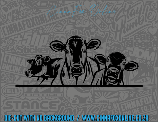 Cows Decal