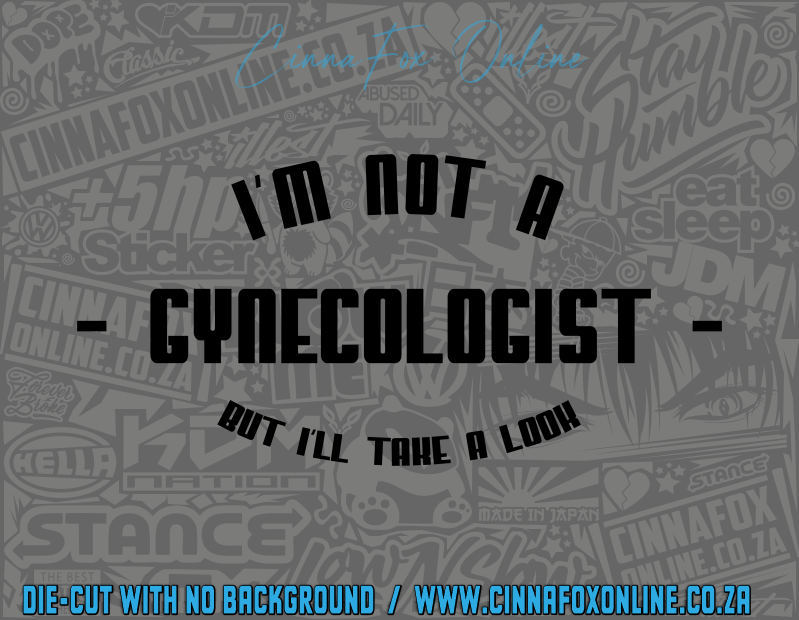 I'm Not A Gynecologist But I'll Take A Look Decal