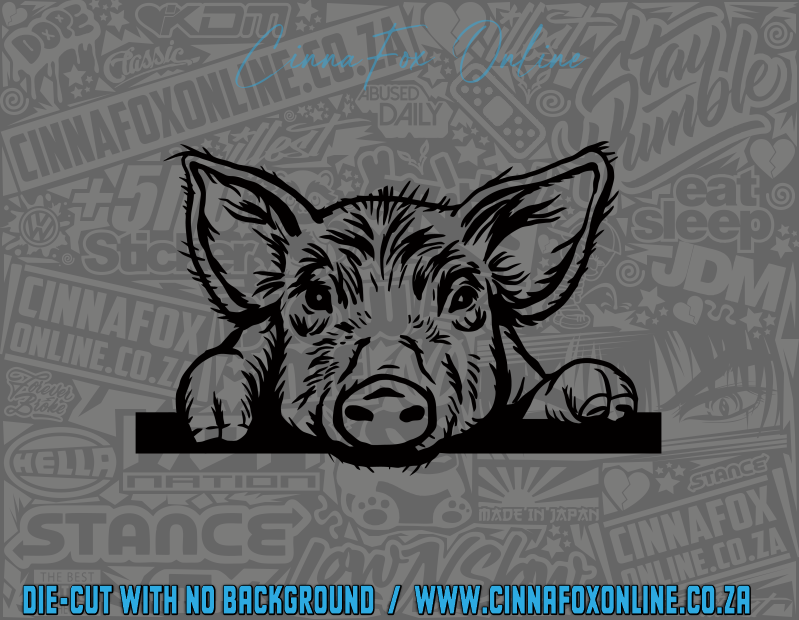 Peeking Pig 02 Decal