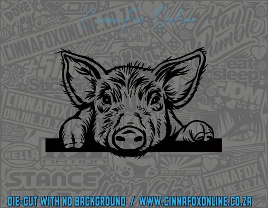 Peeking Pig 02 Decal