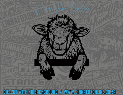 Peeking Sheep Decal